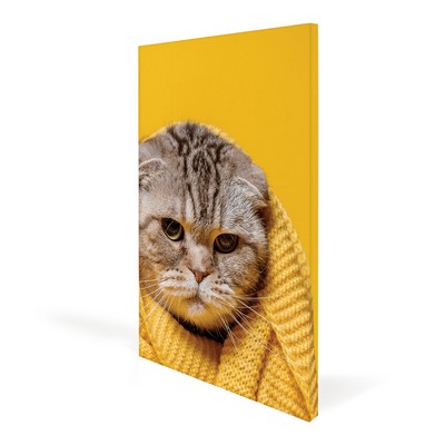 20x24" Canvas Frame (Graphic Package)