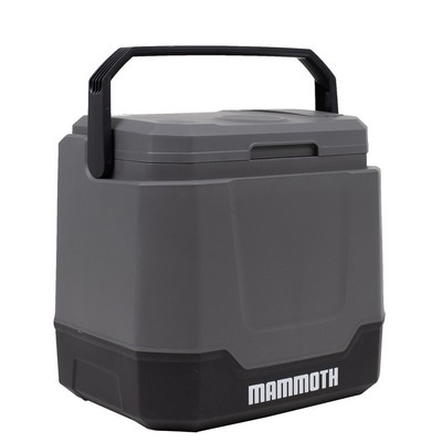 Mammoth Thermoelectric 34 Quart Cooler - Gray 12V DC - 120V AC