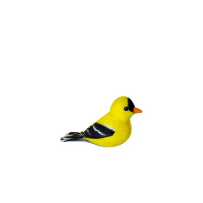 Yellow Parus