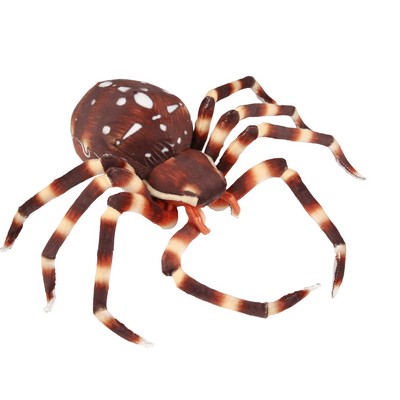 Brown Spider