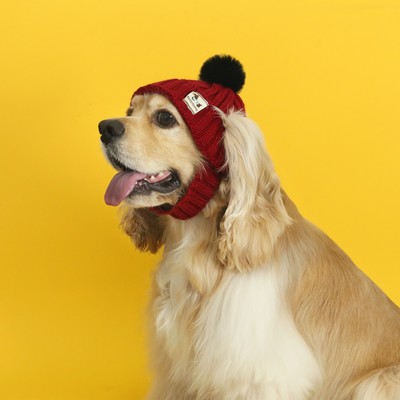 Pet Knit Winter Hat Ear Out Warm Hood for Cats and Small Dogs