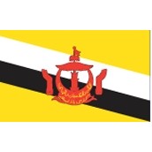 2'x3' Brunei U.N. Nylon Outdoor Flag - Style B