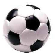 Soccer Ball Lapel Pin