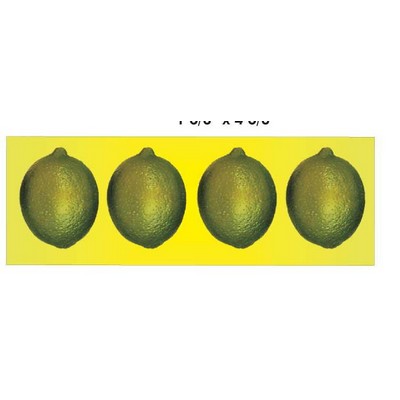 Lime Panoramic Metal Photo Magnet (1 5/8"x4 5/8")