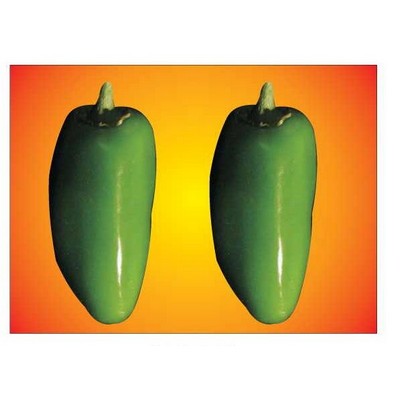 Jalapeno Metal Photo Magnet (2 1/2"x3 1/2")