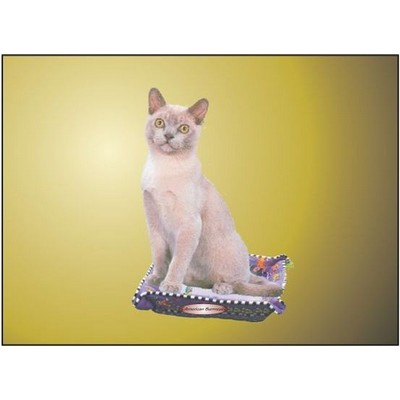 American Burmese Cat Rectangle Metal Photo Magnet (2"x3")
