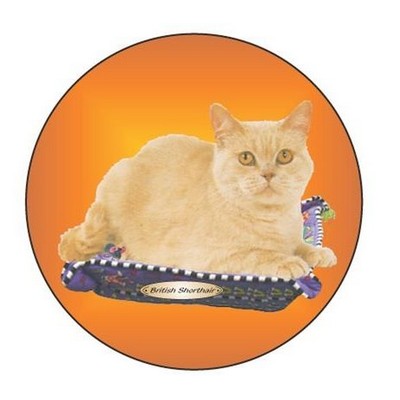 British Shorthair Cat Round Badge w/ Bar Pin (2 1/2")