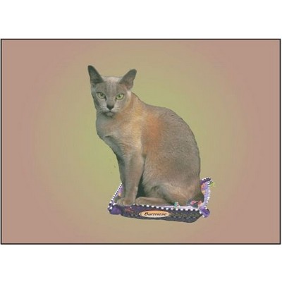Burmese Cat Rectangle Metal Photo Magnet (2"x3")