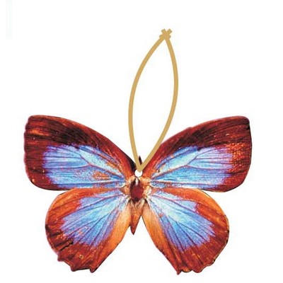 Blue & Brown Butterfly Promotional Ornament w/ Black Back (10 Square Inch)