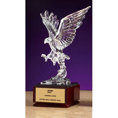 9" Acrylic Hawk Award