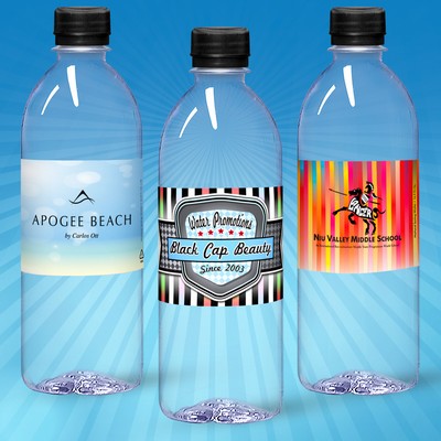 16.9 Oz. Custom Labeled Water in Clear "Bullet" Bottle w/Black Cap