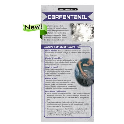 Carfentanil Just the Facts Rack Card