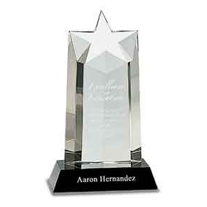 Crystal Rising Star Column Award, 9 1/4"H