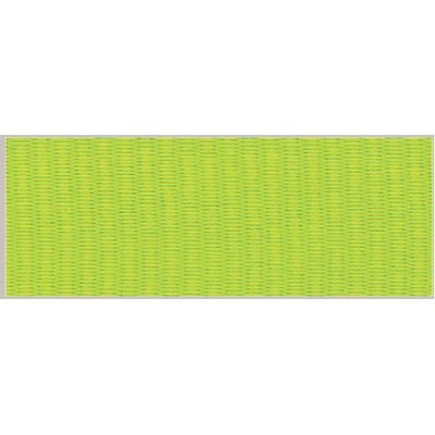 Neon Green Neck Ribbon with Snap Clip (1½")