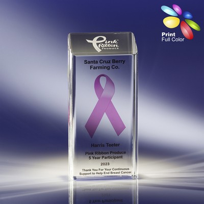 Full Color Custom Crystal Award