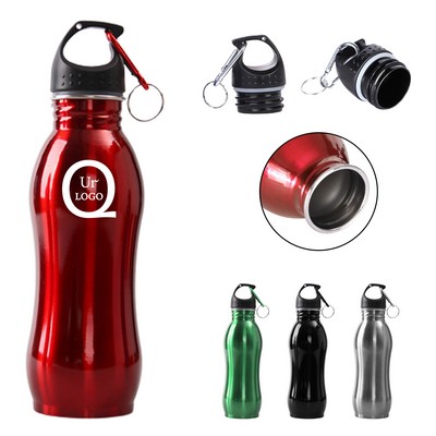 17Oz Single Wall Stainless Steel Bottle