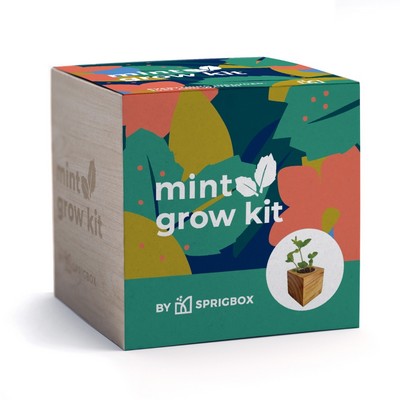 Mint Grow Kit | Solid Wood Planter Cube | Eco-Friendly