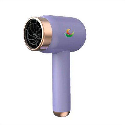 Cordless Portable Hair Care Hair Dryer