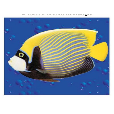 Tropical Fish Rectangle Badge w/ Bar Pin (2 1/2"x3 1/2")