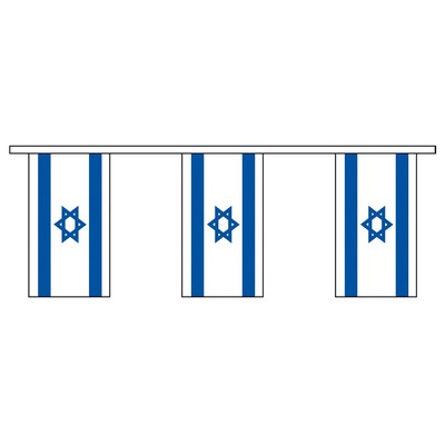 30' Israel International Collection Display Flag