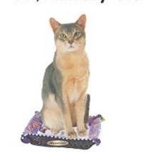 Abyssinian Cat Lapel Pin