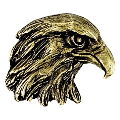 Eagle Mascot Pin
