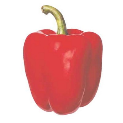 Bell Pepper Promotional Magnet w/ Strip Magnet (10 Square Inch)