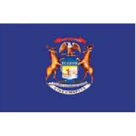 Michigan State Flags (2'x3')