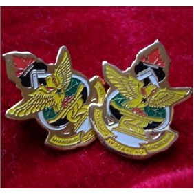 Design Lapel Pin