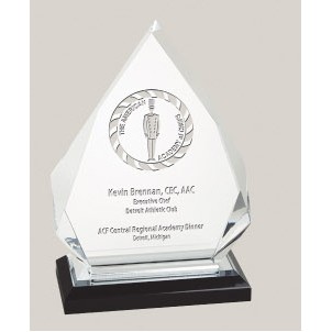 Diamond Impress Acrylic Award (5.25" x 6.75")