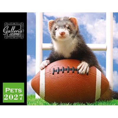 Galleria Wall Calendar 2027 Pets