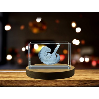 1 Month Fetus 3D Engraved Crystal Trophy Award for Milestone Recognition