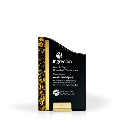 Gold Rush Acrylic Award