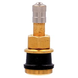 TR501 Clamp-In Valve Stem