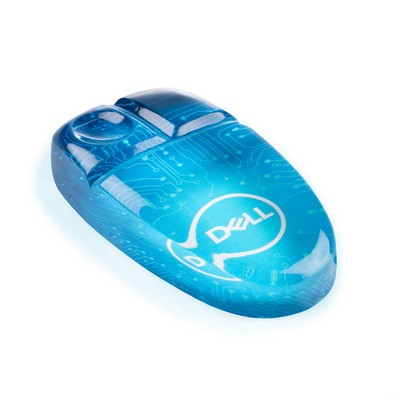 Computer Mouse VividPrint™ Paperweight