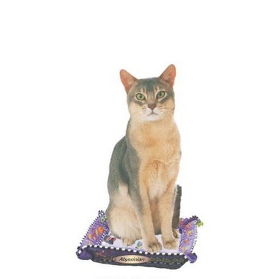 Abyssinian Cat Executive Magnet w/ Full Magnetic Back (6 Square Inch)
