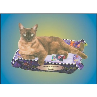 Asian Chocolate Smoke Cat Rectangle Badge w/ Bar Pin (2 1/2"x3 1/2")