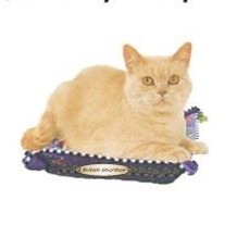 British Shorthair Cat Lapel Pin