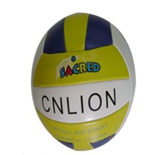 Custom Volleyball