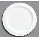 Round Premium Plastic Plate w/Border (10.25" Diameter)