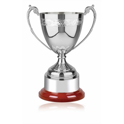 Swatkins Supreme Revolution Buckingham Award