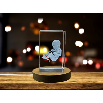Seven Months Foetus 3D Engraved Crystal Trophy Award - Keepsake of Your Baby's Growth