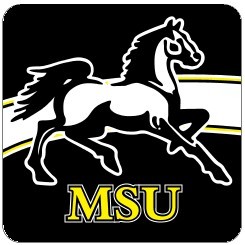 Square Hitch Cover w/Domed Decal