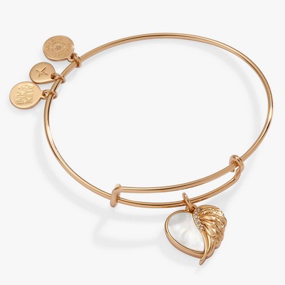 Alex and Ani® Wings Of Protection Charm Bangle