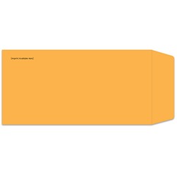 Custom Moist & Seal License Plate Envelopes